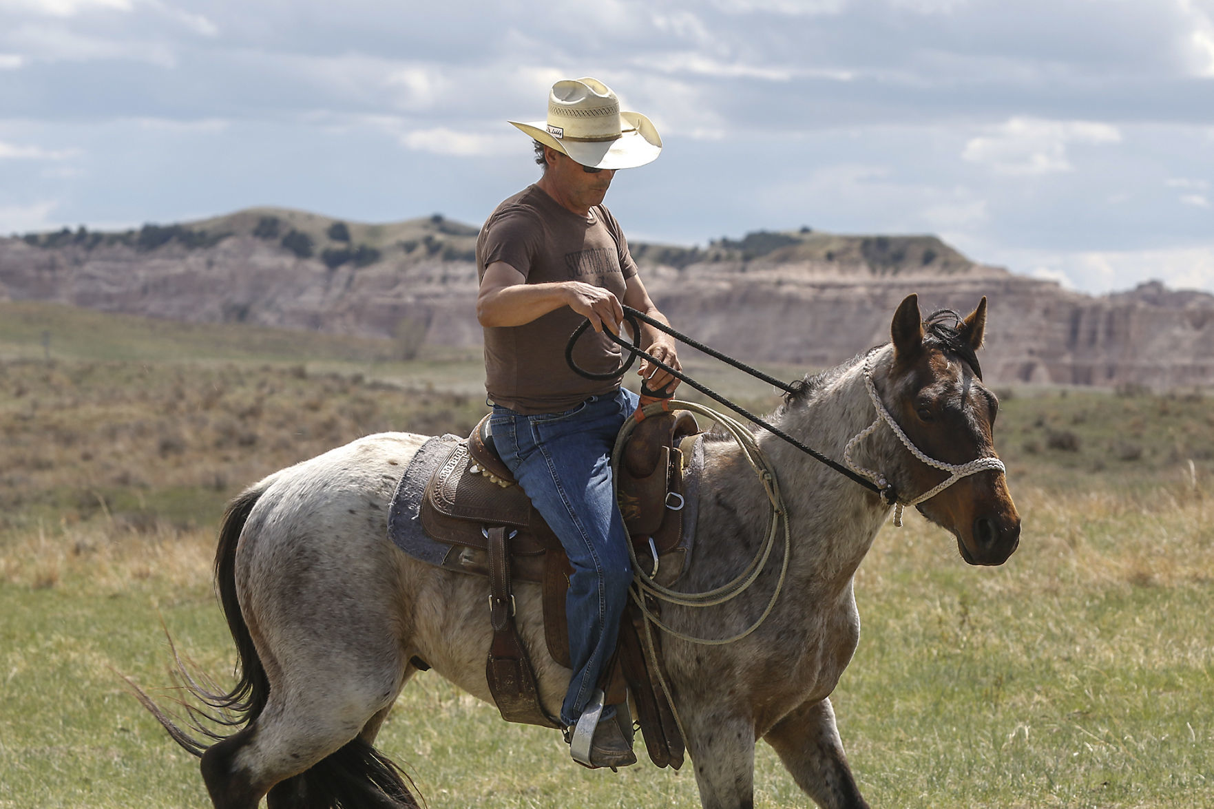 The Rider